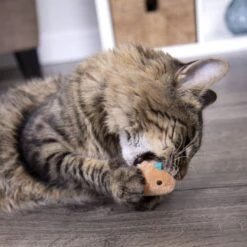 SmartyKat Chickadee Chirp Electronic Bird-Sound Cat Toy -Mewhaus Shop 102753 PT8. AC SS1800 V1700689276