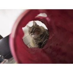 SmartyKat Crackle Chute Collapsible Tunnel Cat Toy -Mewhaus Shop 102756 PT2. AC SS1800 V1599754873