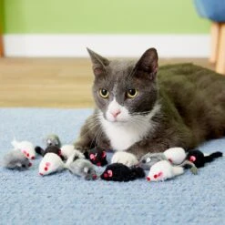 Penn-Plax Purr Pet Bag Of Mice Cat Toy, Color Varies 10 Penn-Plax Purr Pet Bag Of Mice Cat Toy, Color Varies -Mewhaus Shop 103731 PT2. AC SS1800 V1595370657