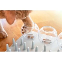 TRIXIE Activity Fun Board 5-in-1 Activity Strategy Game Cat Toy 12 TRIXIE Activity Fun Board 5-in-1 Activity Strategy Game Cat Toy -Mewhaus Shop 107255 PT4. AC SS1800 V1686331326