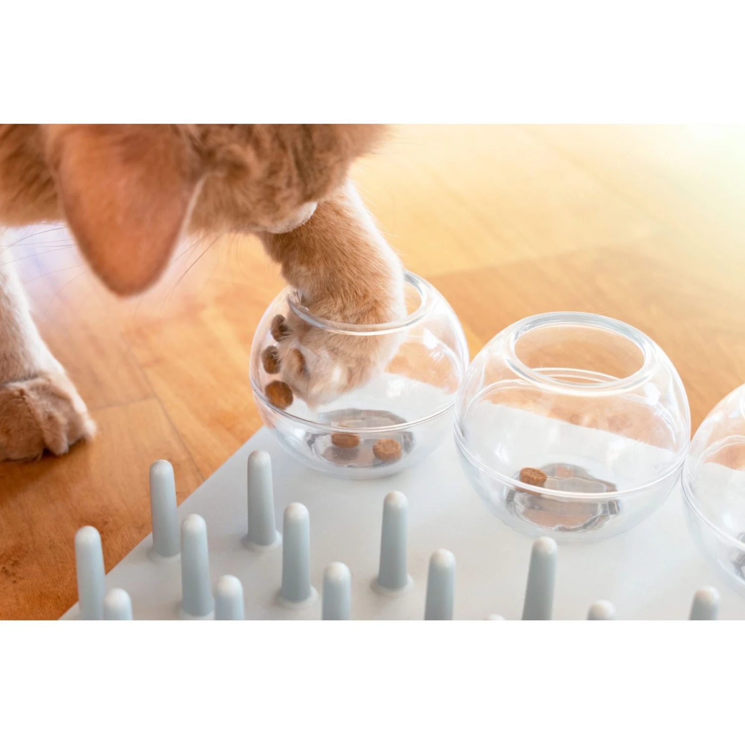 TRIXIE Activity Fun Board 5-in-1 Activity Strategy Game Cat Toy 5 TRIXIE Activity Fun Board 5-in-1 Activity Strategy Game Cat Toy - Image 5