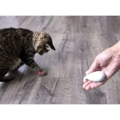 SmartyKat Loco Laser Cat Toy, Color Varies -Mewhaus Shop 107597 PT8. AC SS1800 V1700689391