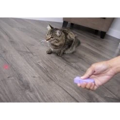 SmartyKat Feline Flash Laser Pointer Cat Toy -Mewhaus Shop 107603 PT2. AC SS1800 V1599754693
