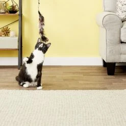 Pet Fit For Life 6 Piece Replacement Feather Pack For Wand Cat Toy -Mewhaus Shop 109318 PT3. AC SS1800 V1589320674