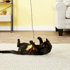 Pet Fit For Life 6 Piece Replacement Feather Pack For Wand Cat Toy -Mewhaus Shop 109318 PT4. AC SS1800 V1589320638