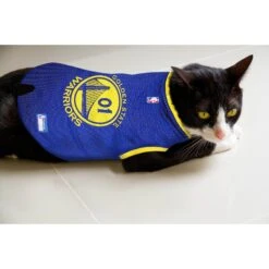Pets First NBA Dog & Cat Mesh Jersey, Golden State Warriors -Mewhaus Shop 111967 PT5. AC SS1800 V1539982937