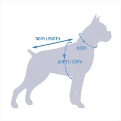 Pets First NBA Dog & Cat Mesh Jersey, Golden State Warriors -Mewhaus Shop 111967 PT8. AC SS1800 V1541180269