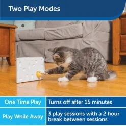 PetSafe Cheese Motion Cat Toy 11 PetSafe Cheese Motion Cat Toy -Mewhaus Shop 114120 PT3. AC SS1800 V1599813056