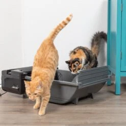 Pet Zone Smart Scoop Automatic Self-Cleaning Cat Litter Box -Mewhaus Shop 115602 PT7. AC SS1800 V1639015418