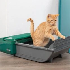 Pet Zone Smart Scoop Automatic Self-Cleaning Cat Litter Box -Mewhaus Shop 115602 PT8. AC SS1800 V1639017709