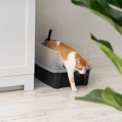 IRIS USA Open Top Litter Box With Scatter Shield & Scoop -Mewhaus Shop 116462 PT6. AC SS1800 V1680809081