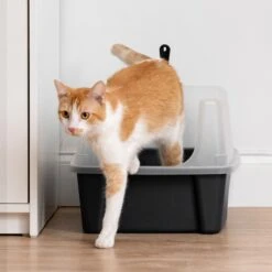 IRIS USA Open Top Litter Box With Scatter Shield & Scoop -Mewhaus Shop 116462 PT7. AC SS1800 V1680808961