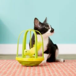 Pet Zone Caged Canary Interactive Cat Toy -Mewhaus Shop 122850 PT5. AC SS1800 V1527258035