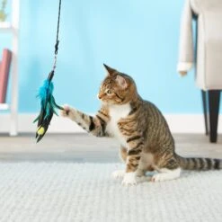 Pet Fit For Life 4 Piece Dual Rod Wand Cat Toy -Mewhaus Shop 123822 PT2. AC SS1800 V1589320598