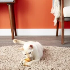 Petlinks HyperNip Love Birds Cat Toy With Catnip 12 Petlinks HyperNip Love Birds Cat Toy With Catnip -Mewhaus Shop 137496 PT3. AC SS1800 V1595364411