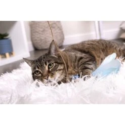 SmartyKat Frisky Flyer Feather Wand Cat Toy -Mewhaus Shop 137512 PT8. AC SS1800 V1575488129