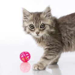 Hartz Just For Cats Toy Variety Pack, 13 Count -Mewhaus Shop 139111 PT3. AC SS1800 V1589230986