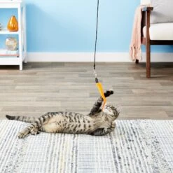 Pet Fit For Life 5 Piece Squiggly Worm Replacement Pack For Wand Cat Toy -Mewhaus Shop 140076 PT6. AC SS1800 V1545251024