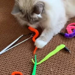Pet Fit For Life 5 Piece Squiggly Worm Wand Cat Toy -Mewhaus Shop 140078 PT2. AC SS1800 V1589320918