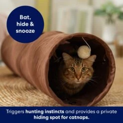 Frisco 35-in Foldable Crinkle Play Tunnel With 1 Window 8 Frisco 35-in Foldable Crinkle Play Tunnel With 1 Window -Mewhaus Shop 140166 PT3. AC SS1800 V1695670685