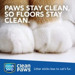 Fresh Step Clean Paws Scented Clumping Clay Cat Litter 12 Fresh Step Clean Paws Scented Clumping Clay Cat Litter -Mewhaus Shop 141502 PT3. AC SS1800 V1694464765