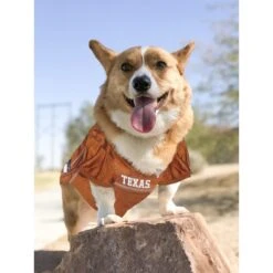 Pets First NCAA Dog & Cat Jersey, Texas Longhorns -Mewhaus Shop 142131 PT4. AC SS1800 V1538435648