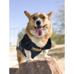 Pets First NCAA Dog & Cat Jersey, Michigan Wolverines -Mewhaus Shop 142152 PT4. AC SS1800 V1538435632