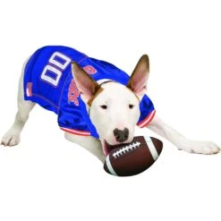 Pets First NCAA Dog & Cat Jersey, Florida Gators -Mewhaus Shop 142159 PT3. AC SS1800 V1538433248