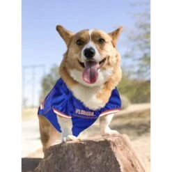 Pets First NCAA Dog & Cat Jersey, Florida Gators -Mewhaus Shop 142159 PT4. AC SS1800 V1538435835