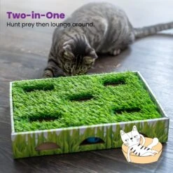 Catstages Grass Patch Hunting Box Cat Scratcher Toy -Mewhaus Shop 148104 PT5. AC SS1800 V1631689013