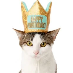 Frisco Happy Birthday Dog & Cat Crown 8 Frisco Happy Birthday Dog & Cat Crown -Mewhaus Shop 153665 PT2. AC SS1800 V1551230979
