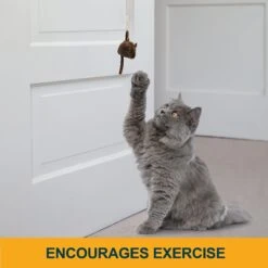 OurPets Batting Practice Interactive Cat Toy -Mewhaus Shop 155007 PT2. AC SS1800 V1634833960