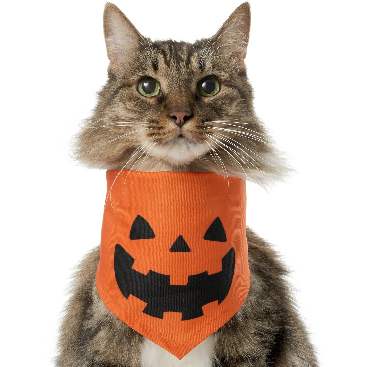 Frisco Jack O' Lantern Pumpkin Dog & Cat Bandana 1 Frisco Jack O' Lantern Pumpkin Dog & Cat Bandana