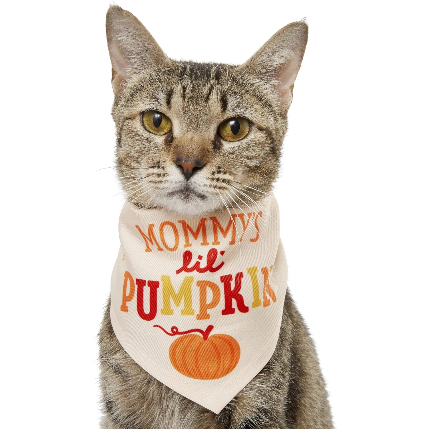 Frisco Mommy's Lil Pumpkin Dog & Cat Bandana 1 Frisco Mommy's Lil Pumpkin Dog & Cat Bandana
