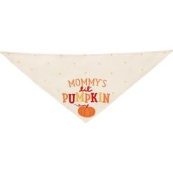 Frisco Mommy's Lil Pumpkin Dog & Cat Bandana 10 Frisco Mommy's Lil Pumpkin Dog & Cat Bandana -Mewhaus Shop 158936 PT3. AC SS1800 V1689628812