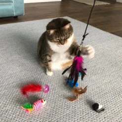Pet Fit For Life Interactive Wand Teaser, Toys & Storage Bag 8 Piece Bundle Cat Toy -Mewhaus Shop 159022 PT2. AC SS1800 V1589320995