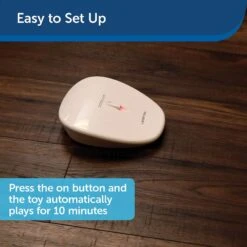 PetSafe Laser Tail Laser Cat Toy -Mewhaus Shop 159065 PT5. AC SS1800 V1599844261