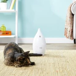 PetSafe Zoom Rotating Laser Cat Toy -Mewhaus Shop 159067 PT2. AC SS1800 V1558467440
