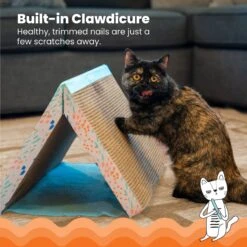 Catstages Fold Away Cat Tunnel Toy 8 Catstages Fold Away Cat Tunnel Toy -Mewhaus Shop 159439 PT2. AC SS1800 V1636522026