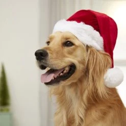 Frisco Holiday Dog & Cat Santa Hat, 1 Count -Mewhaus Shop 160054 PT4. AC SS1800 V1637650626