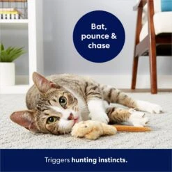 Frisco Skinny Mouse Plush Cat Toy With Catnip -Mewhaus Shop 161268 PT5. AC SS1800 V1686578718