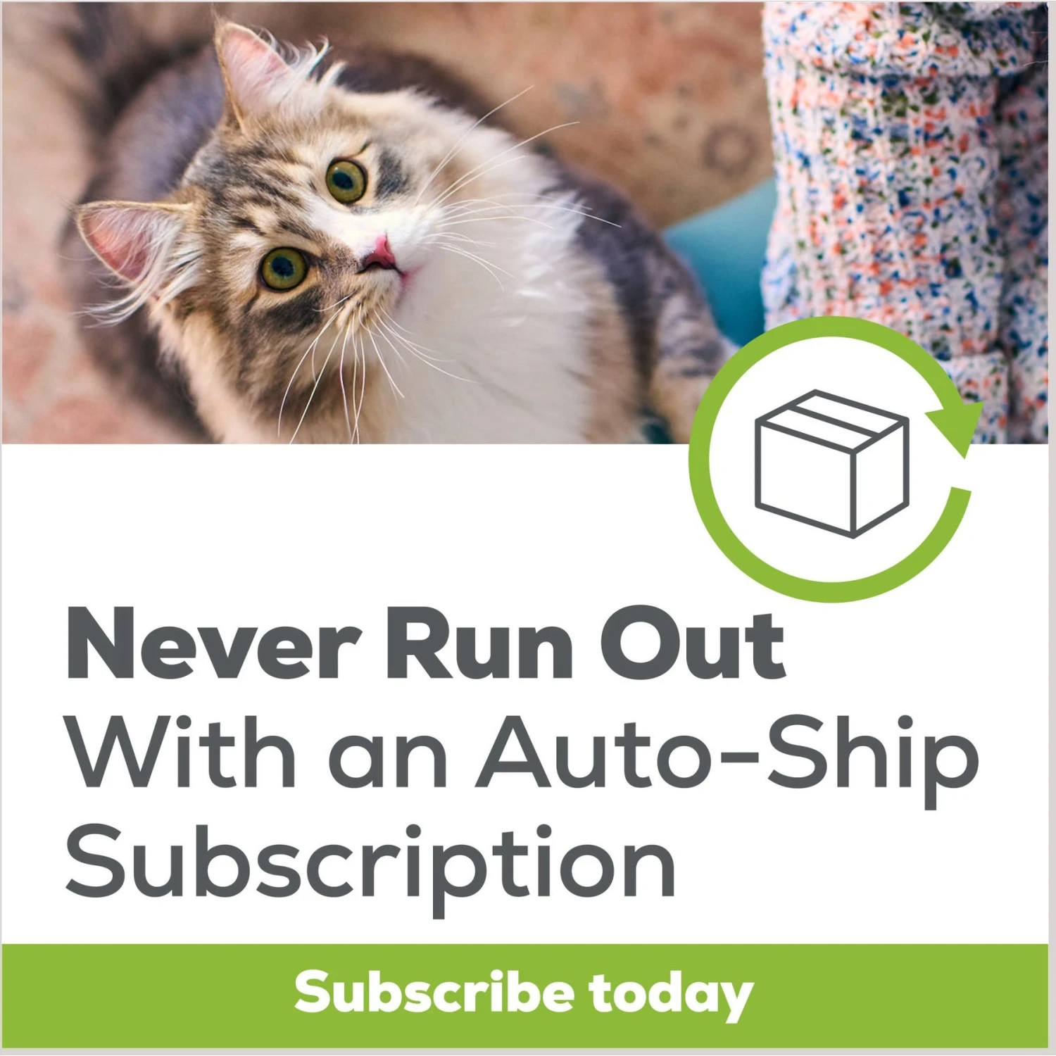 Tidy Max Lightweight Instant Action Scented Clumping Clay Cat Litter 7 Tidy Max Lightweight Instant Action Scented Clumping Clay Cat Litter - Image 7