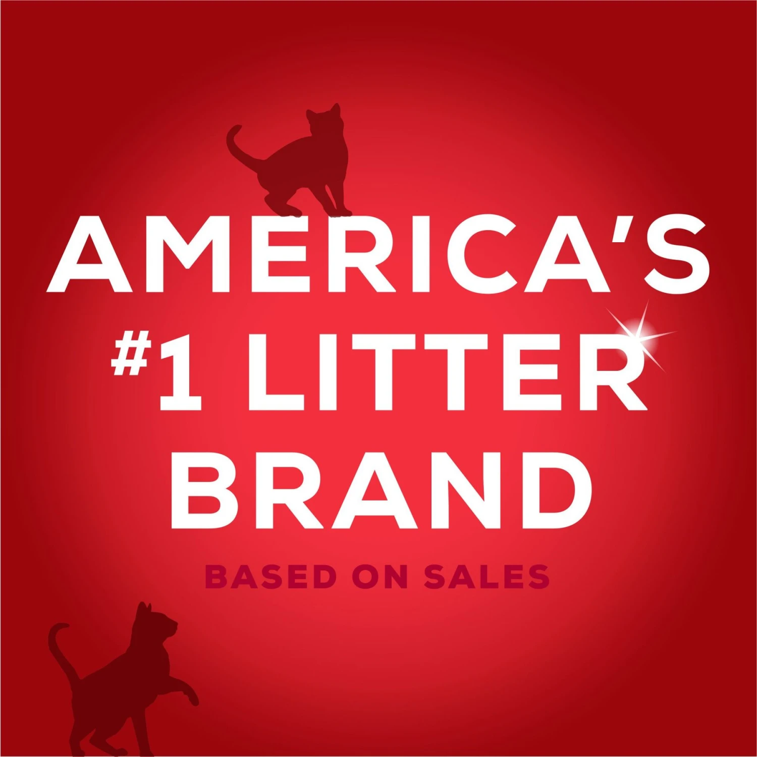 Tidy Max 24/7 Performance Scented Clumping Clay Cat Litter 6 Tidy Max 24/7 Performance Scented Clumping Clay Cat Litter - Image 6