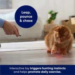 Frisco 2-in-1 Laser & LED Light Laser Cat Toy -Mewhaus Shop 166309 PT3. AC SS1800 V1686579688