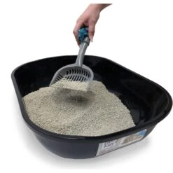 Fresh Kitty Large Deluxe Cat Litter Scoop With Waste Bag Handle 11 Fresh Kitty Large Deluxe Cat Litter Scoop With Waste Bag Handle -Mewhaus Shop 166726 PT5. AC SS1800 V1556134348