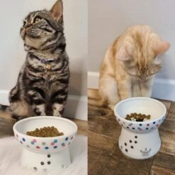 Necoichi Raised Cat Food Bowl, Colorful Dots -Mewhaus Shop 169388 PT4. AC SS1800 V1649354641