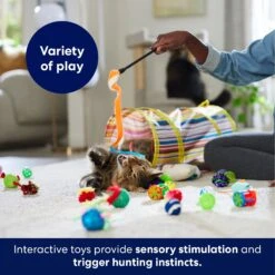 Frisco Plush, Teaser, Ball & Tunnel Variety Pack Cat Toy With Catnip 10 Frisco Plush, Teaser, Ball & Tunnel Variety Pack Cat Toy With Catnip -Mewhaus Shop 169688 PT5. AC SS1800 V1691784246