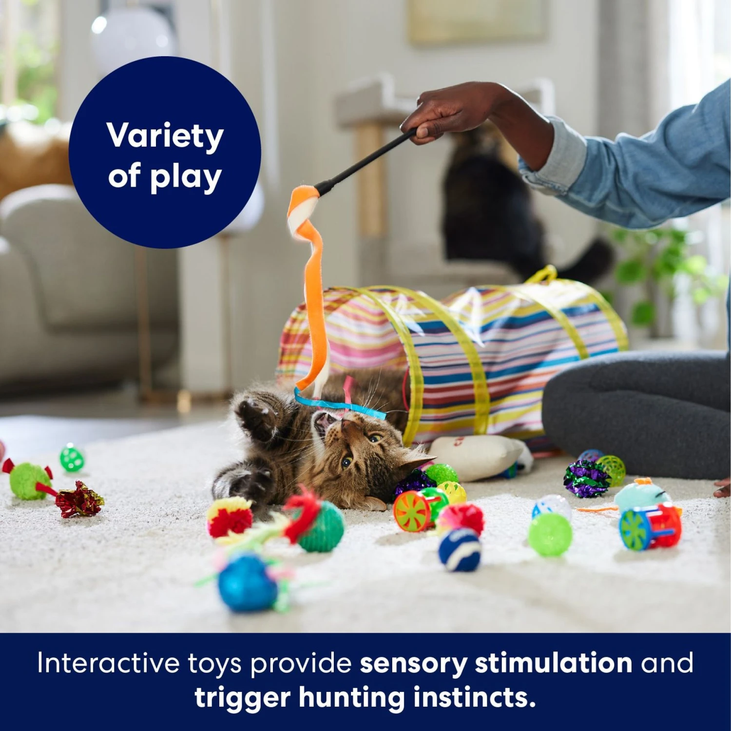 Frisco Plush, Teaser, Ball & Tunnel Variety Pack Cat Toy With Catnip 5 Frisco Plush, Teaser, Ball & Tunnel Variety Pack Cat Toy With Catnip - Image 5