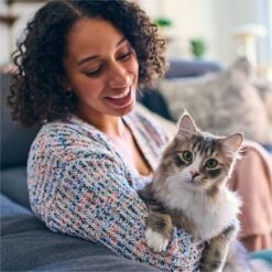 Tidy Max Lightweight Glade Clear Springs Scented Lightweight Clay Cat Litter -Mewhaus Shop 175483 PT3. AC SS1800 V1695847304