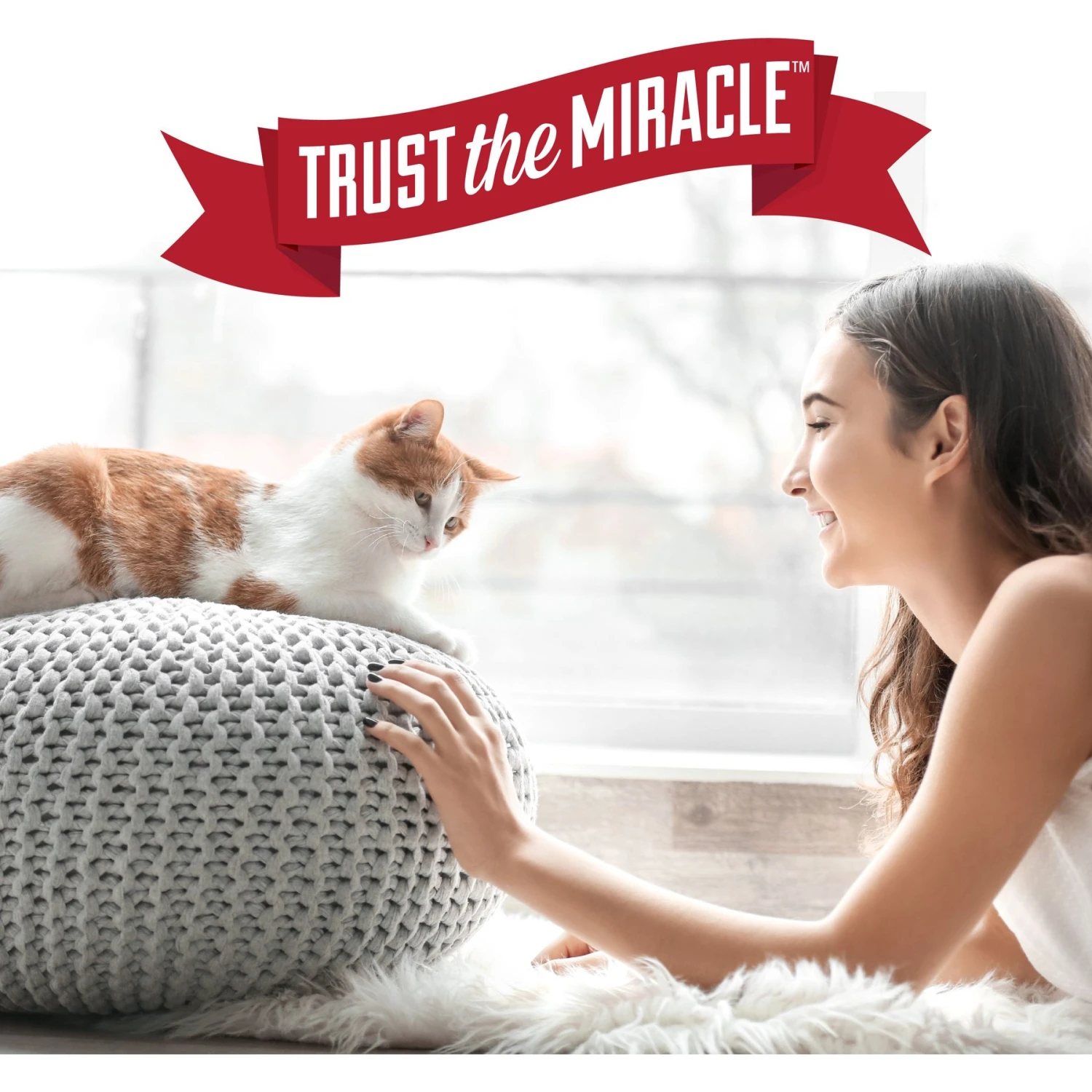 Nature's Miracle Advanced Cat Enzymatic Stain Remover & Odor Eliminator Refill, 1-gal Bottle 9 Nature's Miracle Advanced Cat Enzymatic Stain Remover & Odor Eliminator Refill, 1-gal Bottle - Image 9